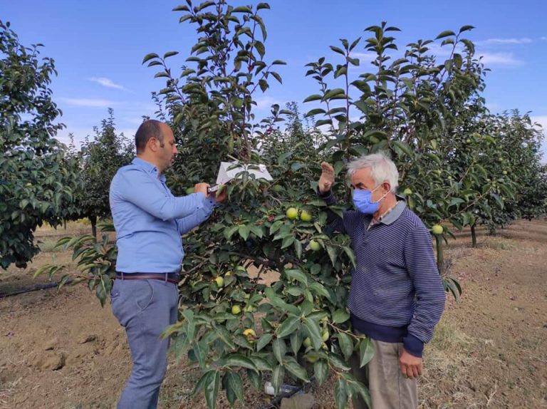 İlçe Tarım ekipleri incelemelere devam ediyor