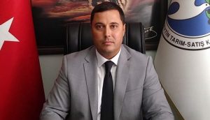 Zeytinde rekolte beyan alımları sürüyor