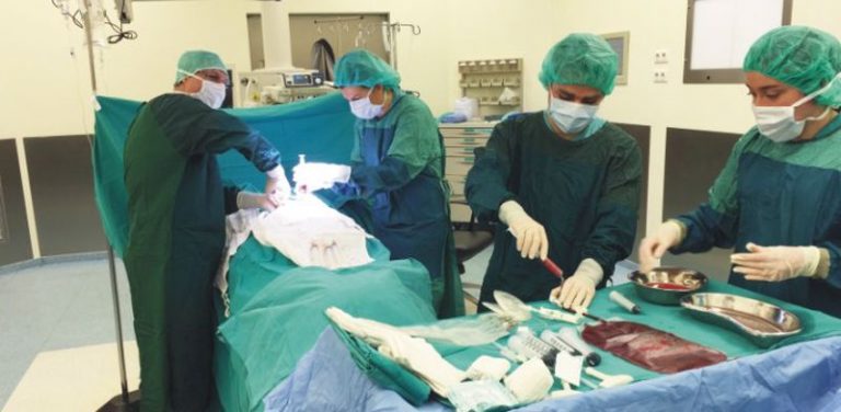 Bursa’da organ bağışının geliştirilmesi sempozyumu