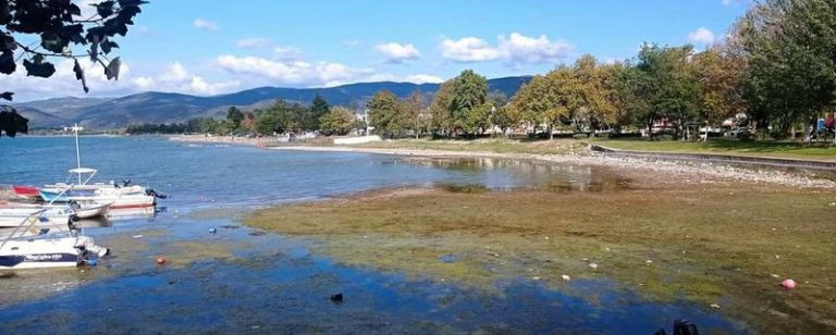 İznik gölünde durum vahim