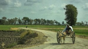 Köy hayatına özlem duyanlar için