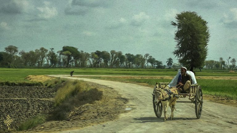 Köy hayatına özlem duyanlar için