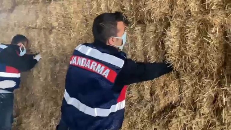 Saman altından 139 bin lira çıktı