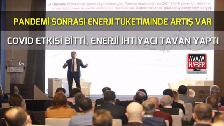 Pandemi sonrası enerji tüketimi fazla