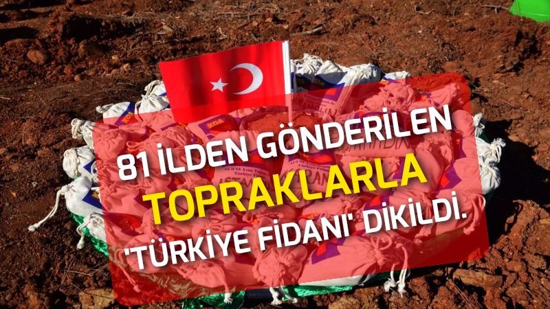 81 ilden gönderilen toprakla ‘Türkiye Fidanı’ dikildi.