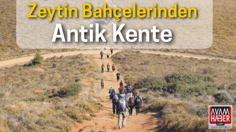 Zeytin Bahçelerinden Antik Kente