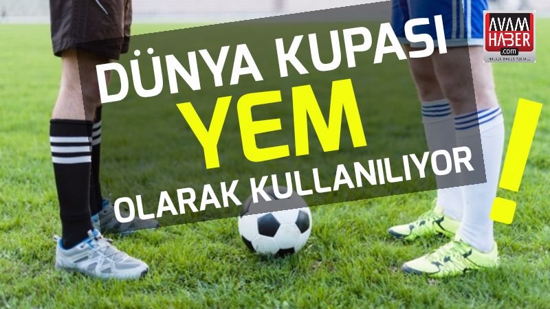 Dünya kupası yem olarak kullanılıyor