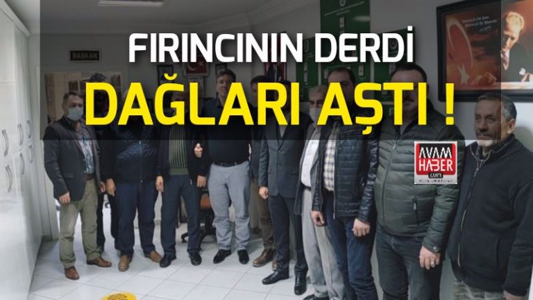 Fırıncı esnafı destek bekliyor !