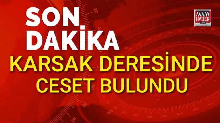 Ceset karsak deresinde bulundu