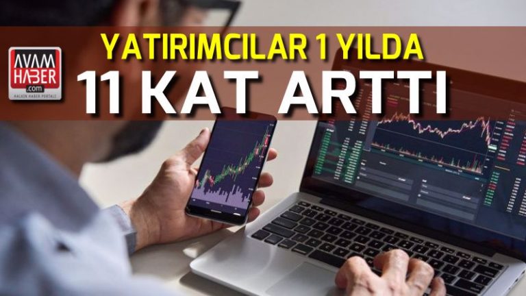 Yatırımcılar 2021’de 11 kat arttı.