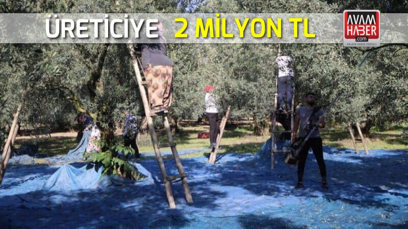 Marmarabirlik’ten üreticiye 2 Milyon TL