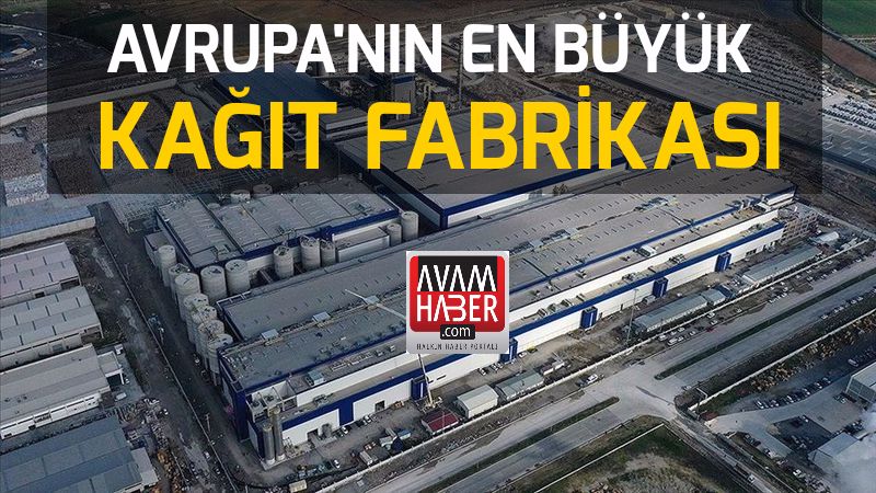 Avrupa’nın en büyük kağıt fabrikası