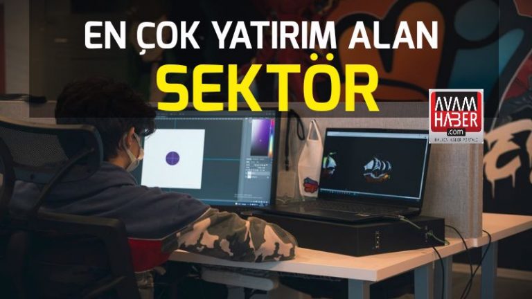 Türkiye’nin en çok yatırım alan sektörü