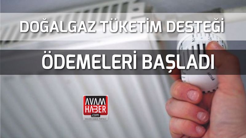 Doğal gaz tüketim desteği ödemeleri başladı