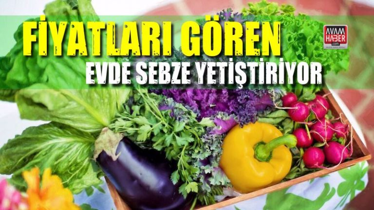 Fiyatları Gören Evde Sebze Yetiştiriyor