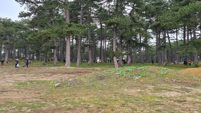 Ormanlık alanda piknik yapmak yasaklandı