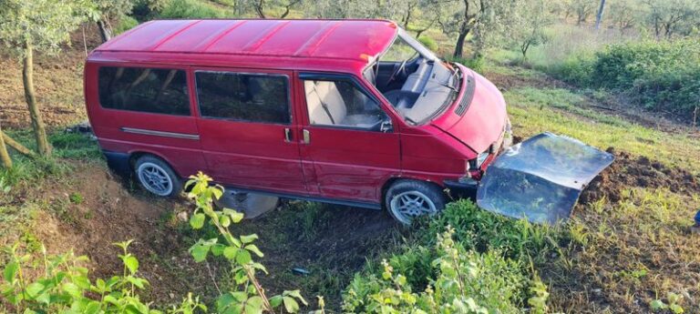 Ticari Araç Zeytinliğe Daldı