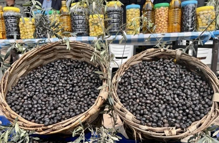 Marmarabirlik’ten Beşinci Dilim Ödemeleri 19 Aralık’ta