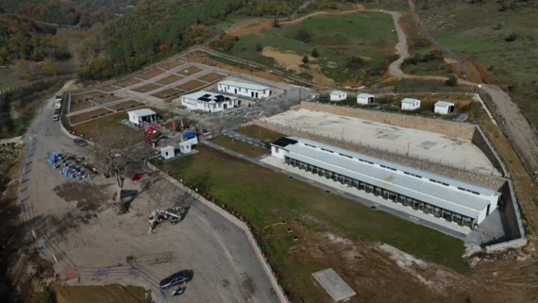 Modern Hayvan Bakım Merkezi Kısa Sürede Önemli Sonuçlar Üretti