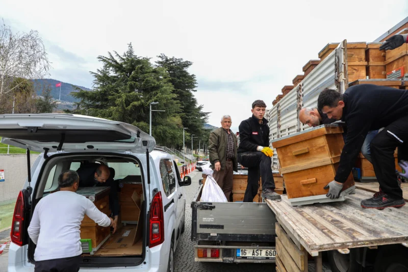 Bursa’da Arıcılığa Destek: Üreticilere 750 Kovan Dağıtıldı