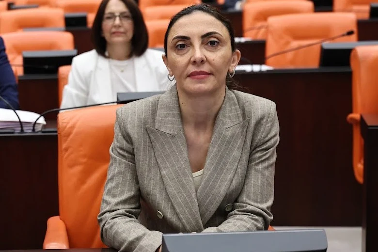 CHP’li Kayışoğlu TBMM’de Gündeme Taşıdı: “Yurt Dışındaki Vatandaşlar Ehliyet Sistemi Nedeniyle Mağdur Ediliyor”