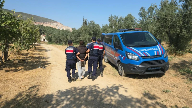 Çalıntı Araç 10 Kilometrelik Takibin Ardından Zeytinlikte Yakalandı