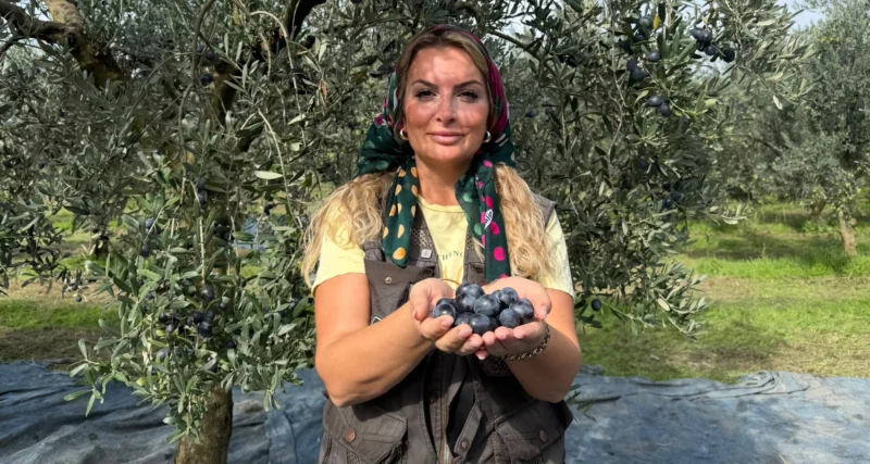 Berna İl’den zeytin üreticilerine destek çağrısı